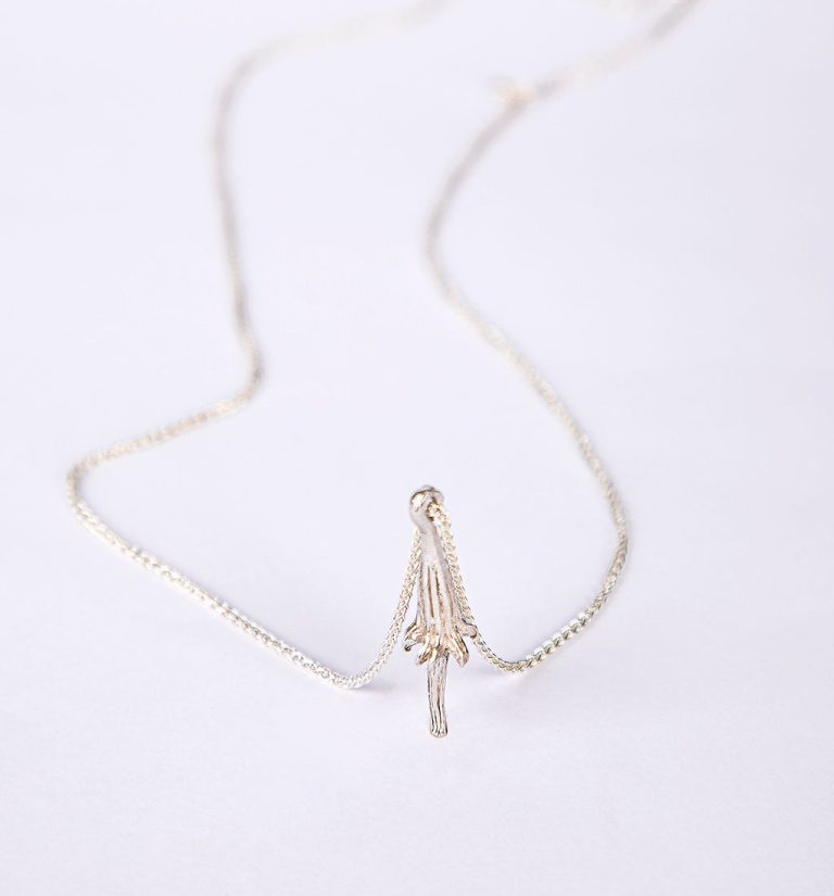 פריחת באובב (2)