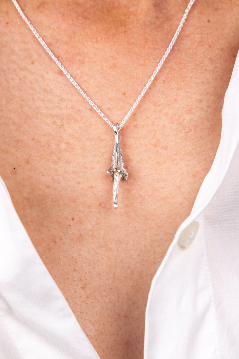 פריחת באובב (2)