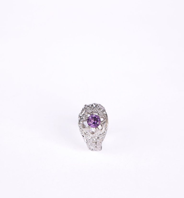 פיקוס ופרי (3)